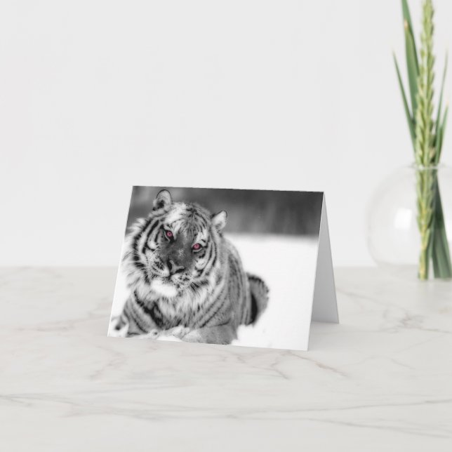 Carte Tigre teinté rose (Devant)