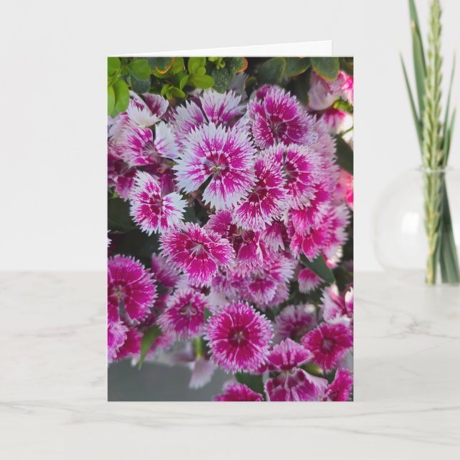 Carte Tiny Pink Flowers Blank Notecard (Devant)