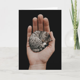 Carte Tiny Tabby