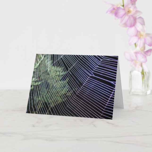 Carte Toile d'araignée roue orange (Orchidée)