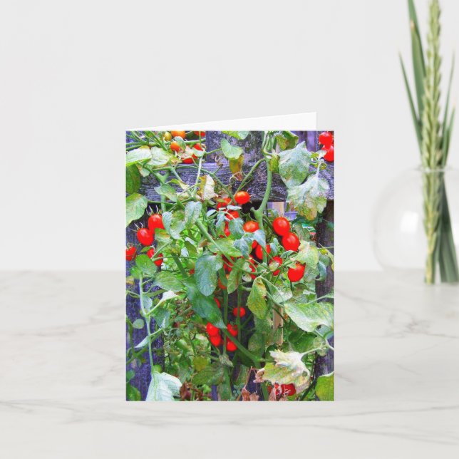 Carte Tomates (Devant)