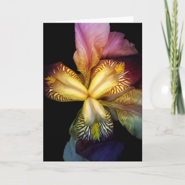 Carte Toms Irises (Devant)