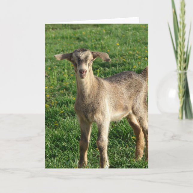 Carte Tonnerre à une semaine (Devant)