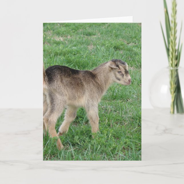 Carte Tonnerre vieux d'un jour (Devant)