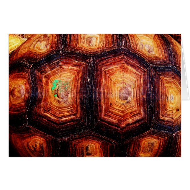 Carte Tortoiseshell (Devant horizontal)