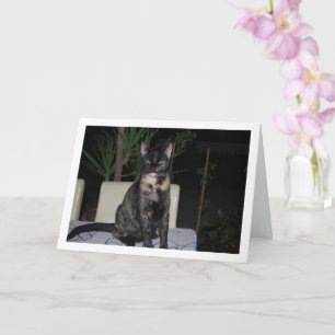 Carte Tortoiseshell Kitten sur table