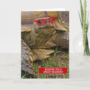Carte tortue ancienne de récupération rapide en lunettes