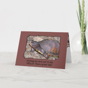 Carte Tortue bonjour !
