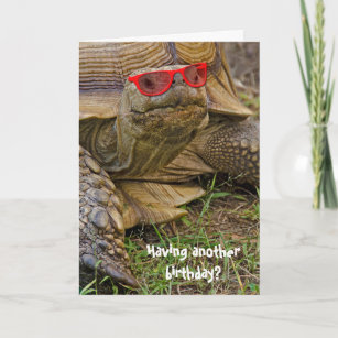 Carte Tortue d'anniversaire en lunettes de soleil