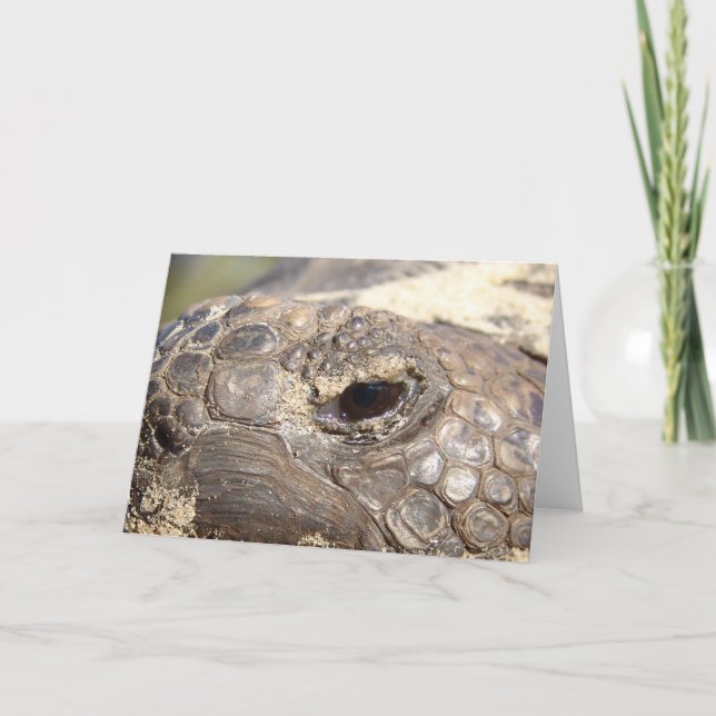 Carte Tortue de Gopher non heureuse (Devant)