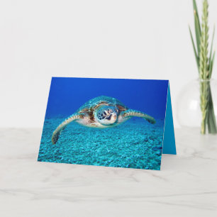 Carte Tortue de mer