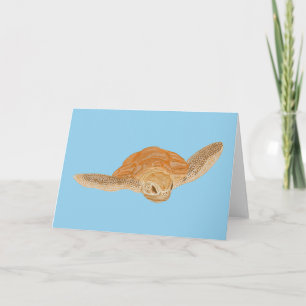 Carte Tortue de mer sous l'eau - transparent.  