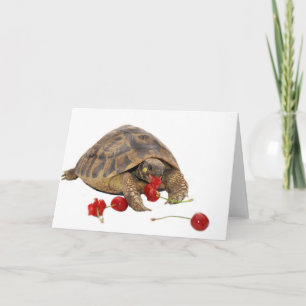 Carte Tortue et fraises de Hermann