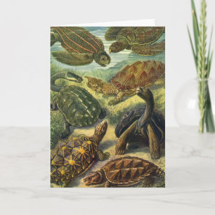 Carte Tortues de mer vintages de Terre par Ernst Haeckel