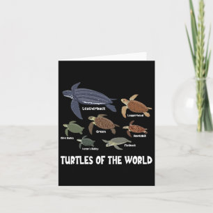 Carte Tortues Du Monde Célébrent La Diversité Tortue