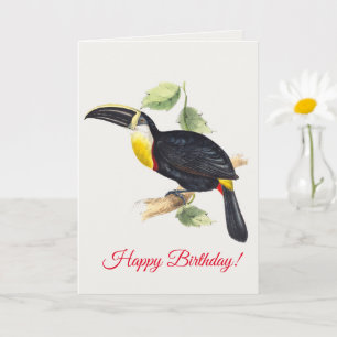 Carte Toucan