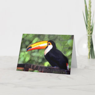 Carte 'Toucan'