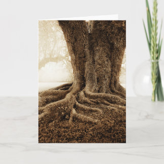 Carte Touching_Earth_MW1104