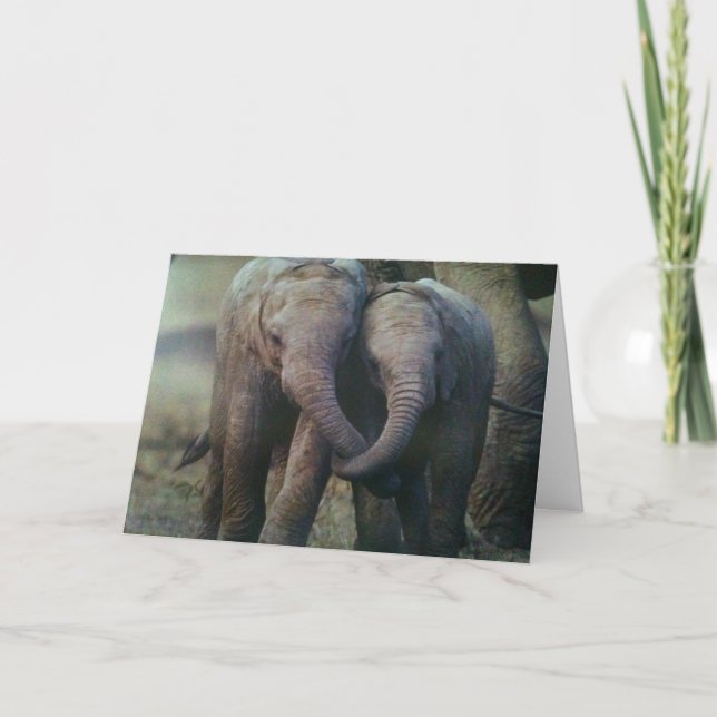 CARTE TOUJOURS ICI POUR VOUS (Devant)