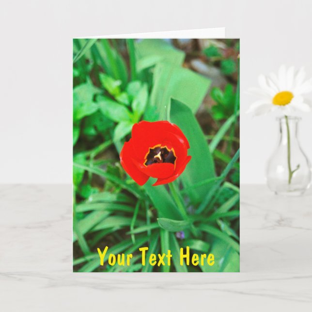 Carte Tournelle rouge personnalisable (Petite plante)