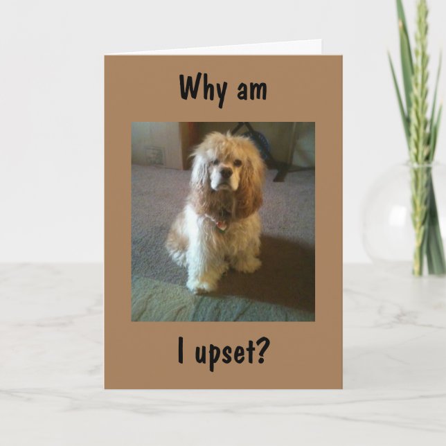 CARTE TOURNER "65" & TOUJOURS REGARDER "21" SI HAUT! CAR (Devant)