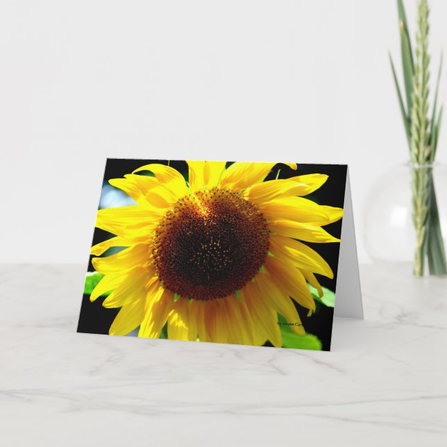 Carte Tournesol (Devant)