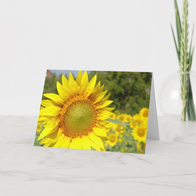 Carte tournesol (Devant)