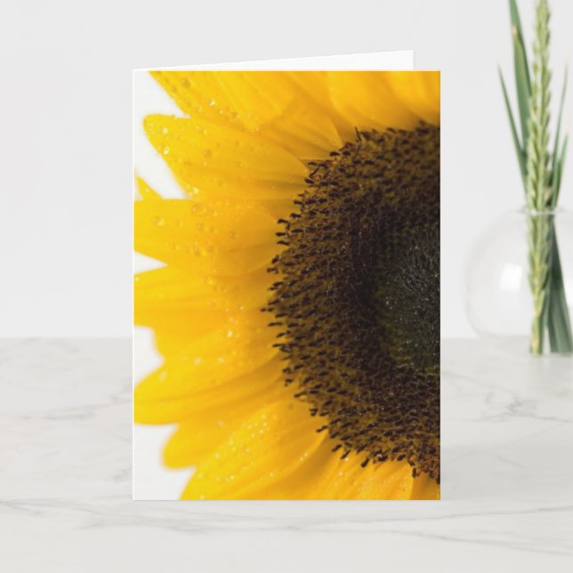 Carte tournesol (Devant)