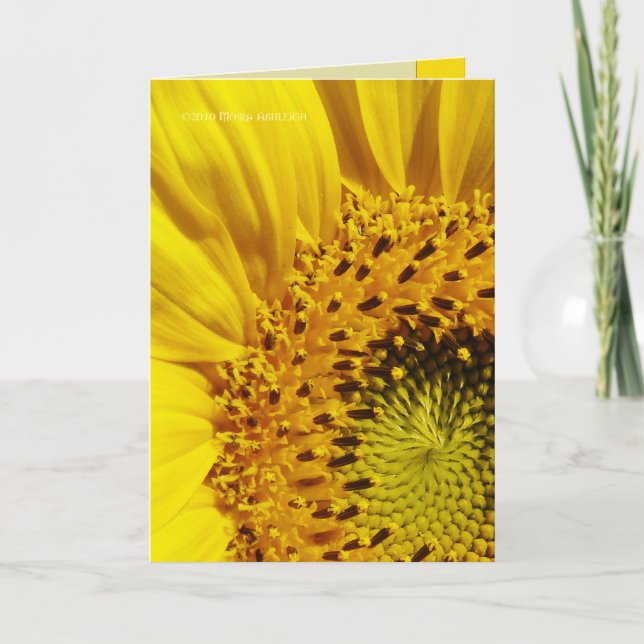 Carte Tournesol (Devant)