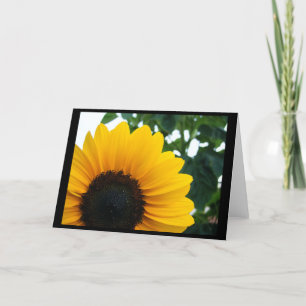 Carte Tournesol