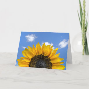 Carte Tournesol bien