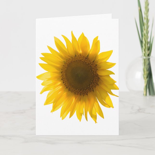 Carte Tournesol citation "Les fleurs sont du bonheur" (Devant)