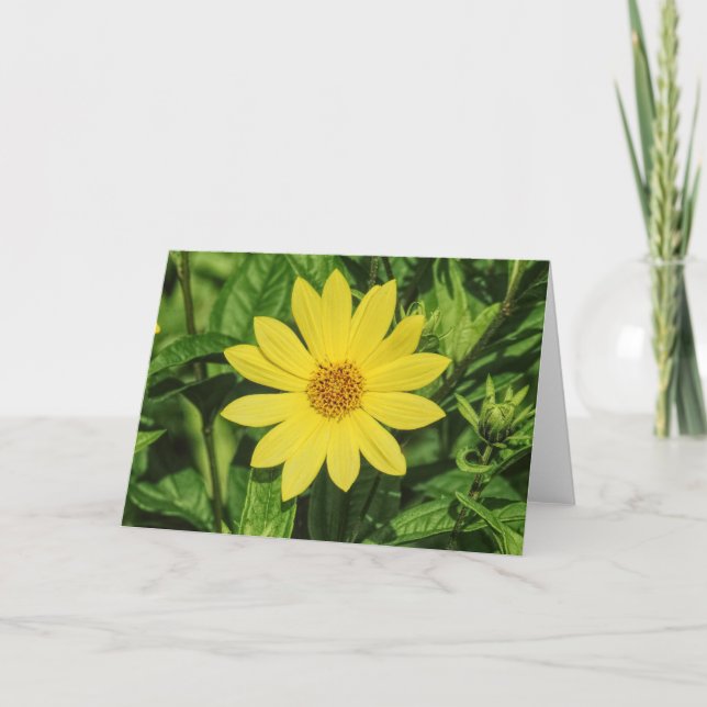 Carte Tournesol de Helianthus 'Lemon Queen' (Devant)