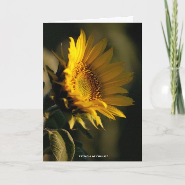 Carte Tournesol de lumière pour penser à vous PhotoTempl (Devant)