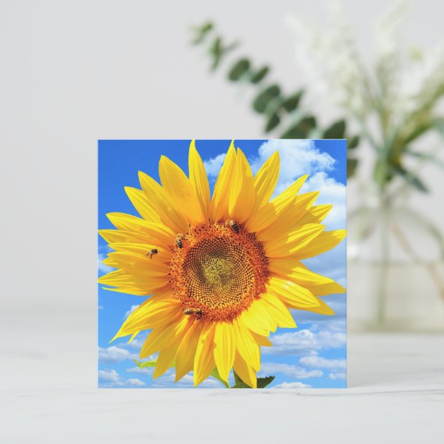 Carte tournesol et abeilles (Debout devant)