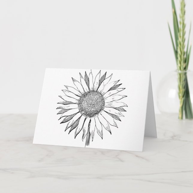 Carte Tournesol illustré (Devant)