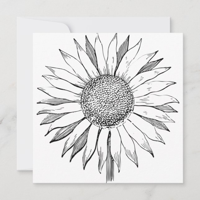 Carte Tournesol illustré (Devant)
