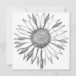 Carte Tournesol illustré