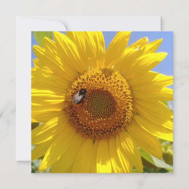 Carte Tournesol jaune (Devant)