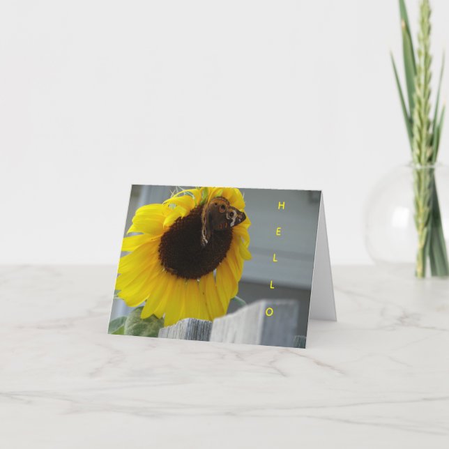 Carte Tournesol jaune avec papillon Buckeye (Devant)