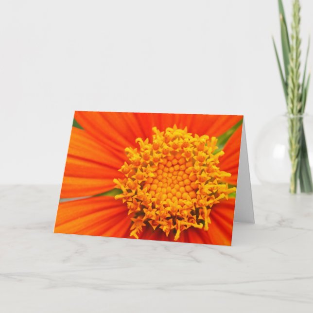 Carte Tournesol mexicain (Devant)