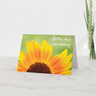 Carte Tournesol plus fort que le cancer