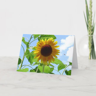 Carte Tournesol radieux, Provence, France -