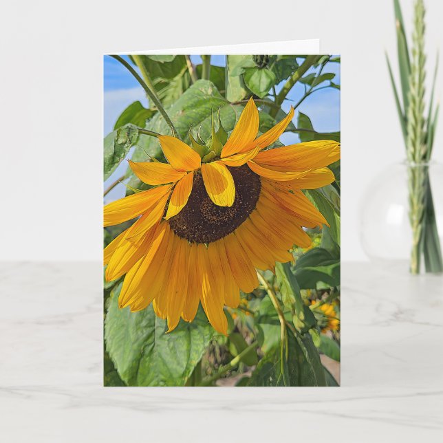 Carte Tournesol triste  (Devant)