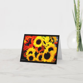 Carte Tournesols