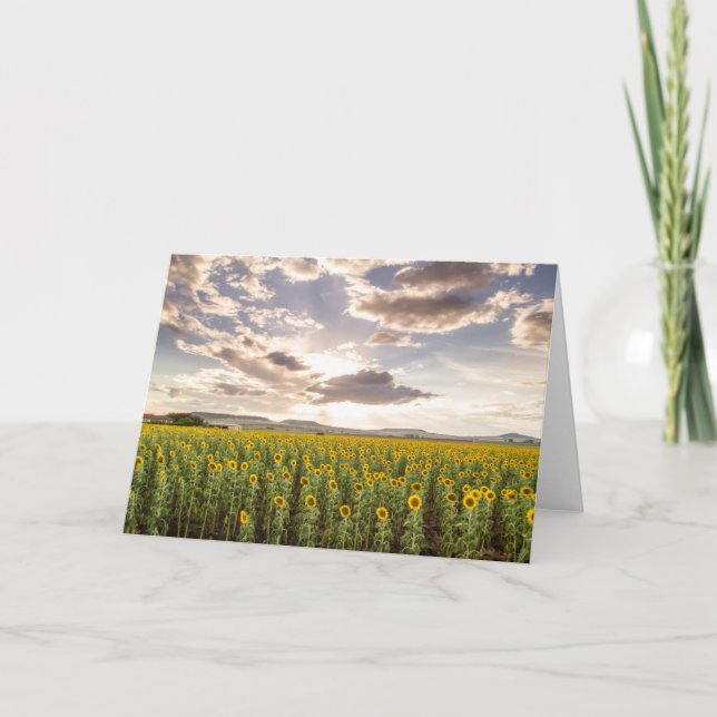 Carte Tournesols au coucher du soleil (Devant)