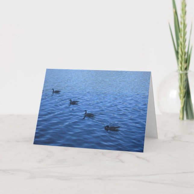 Carte Tous vos canards dans une rangée (Devant)