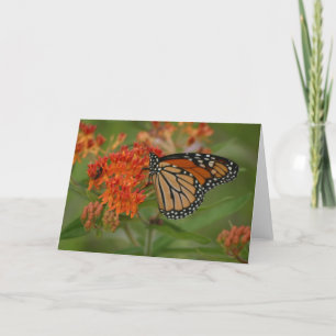 Carte Tout orange