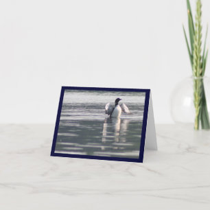 Carte tout un dingue