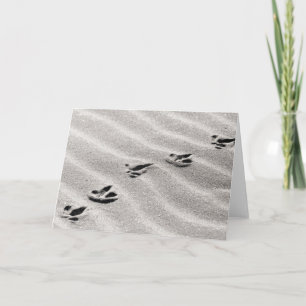 Carte Tracks in the Sand Photograph